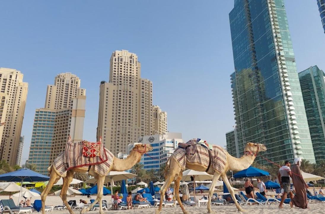 Private In Coliving In Jbr Sadaf 8 *